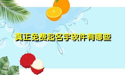 真正免费起名字软件有哪些