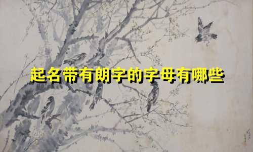 起名带有朗字的字母有哪些