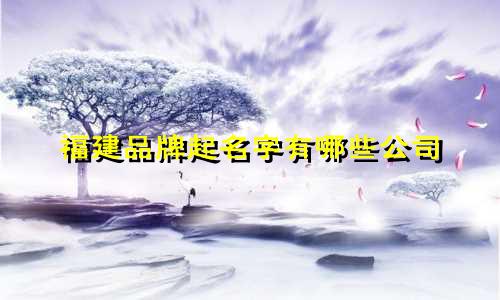 福建品牌起名字有哪些公司