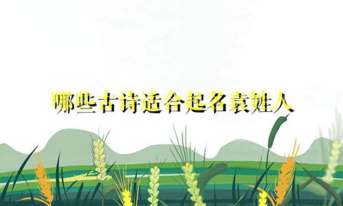 哪些古诗适合起名袁姓人
