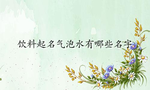 饮料起名气泡水有哪些名字