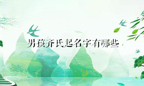 男孩齐氏起名字有哪些