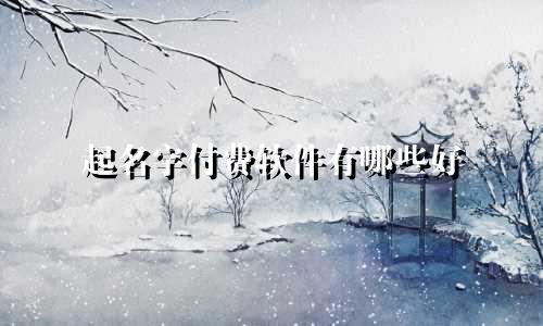 起名字付费软件有哪些好
