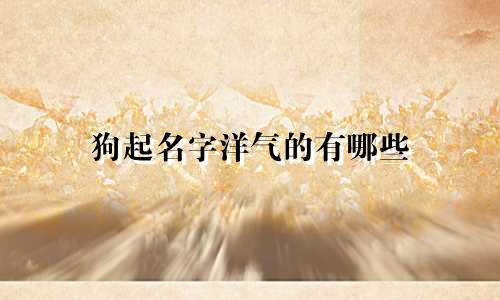 狗起名字洋气的有哪些