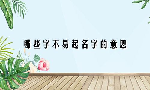 哪些字不易起名字的意思