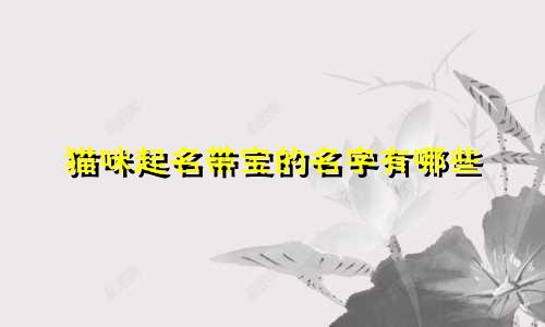 猫咪起名带宝的名字有哪些