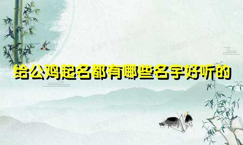 给公鸡起名都有哪些名字好听的