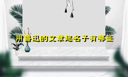 用鲁迅的文章起名子有哪些