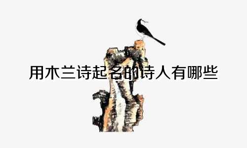 用木兰诗起名的诗人有哪些