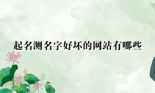 起名测名字好坏的网站有哪些