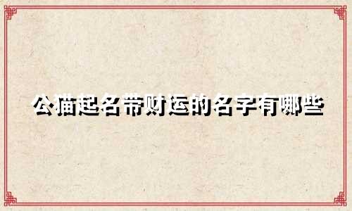 公猫起名带财运的名字有哪些