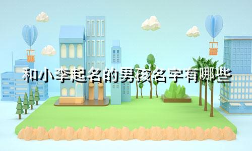 和小李起名的男孩名字有哪些