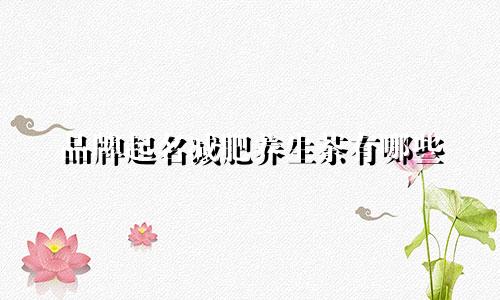 品牌起名减肥养生茶有哪些