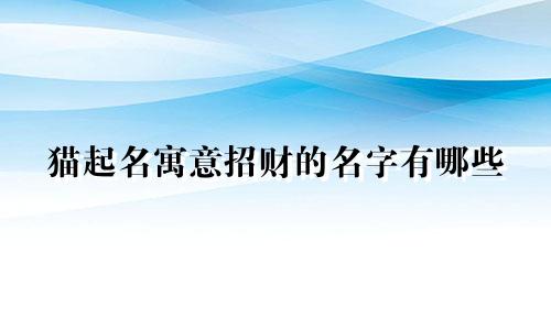 猫起名寓意招财的名字有哪些