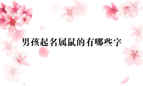 男孩起名属鼠的有哪些字