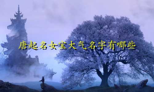 唐起名女宝大气名字有哪些