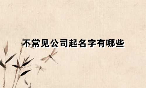 不常见公司起名字有哪些