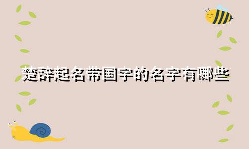 楚辞起名带国字的名字有哪些