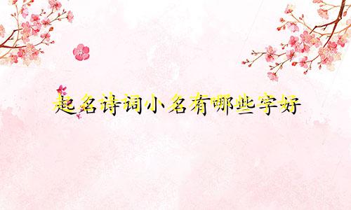 起名诗词小名有哪些字好