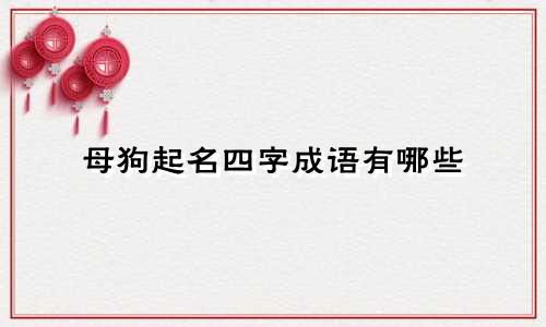 母狗起名四字成语有哪些