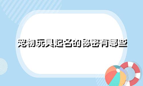 宠物玩具起名的秘密有哪些