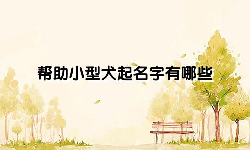 帮助小型犬起名字有哪些