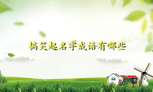 搞笑起名字成语有哪些