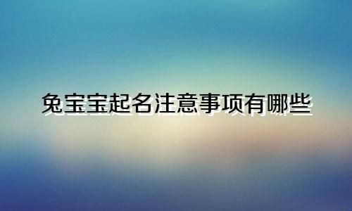 兔宝宝起名注意事项有哪些