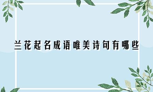 兰花起名成语唯美诗句有哪些