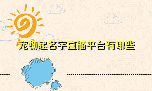 宠物起名字直播平台有哪些