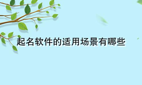 起名软件的适用场景有哪些