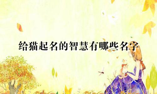 给猫起名的智慧有哪些名字