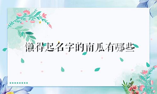 懒得起名字的南瓜有哪些