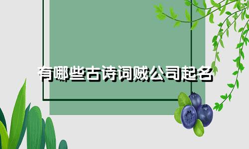有哪些古诗词贼公司起名
