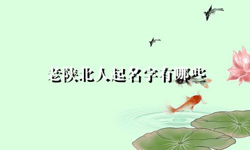 老陕北人起名字有哪些