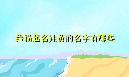 给猫起名姓黄的名字有哪些