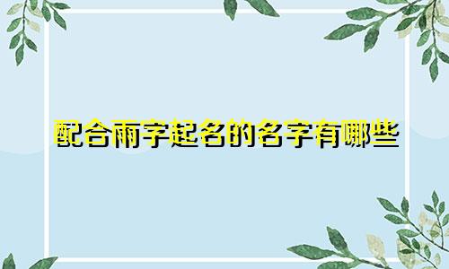 配合雨字起名的名字有哪些