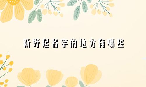 新野起名字的地方有哪些
