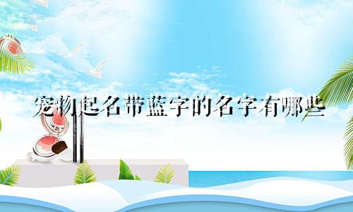 宠物起名带蓝字的名字有哪些