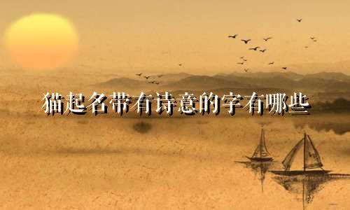 猫起名带有诗意的字有哪些