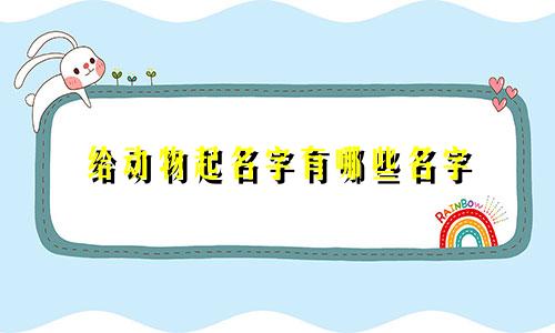 给动物起名字有哪些名字