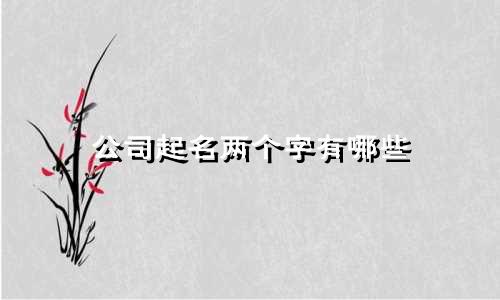 公司起名两个字有哪些