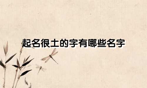 起名很土的字有哪些名字