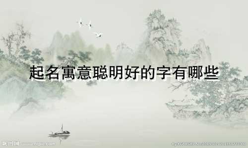 起名寓意聪明好的字有哪些
