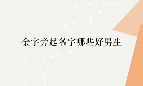 金字旁起名字哪些好男生