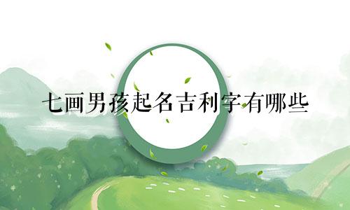 七画男孩起名吉利字有哪些