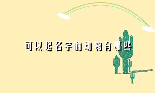 可以起名字的动物有哪些