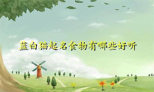 蓝白猫起名食物有哪些好听