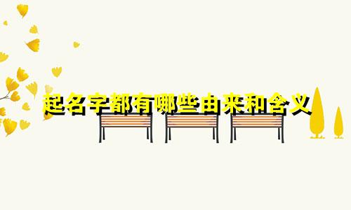 起名字都有哪些由来和含义