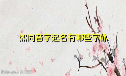 熙同音字起名有哪些字体